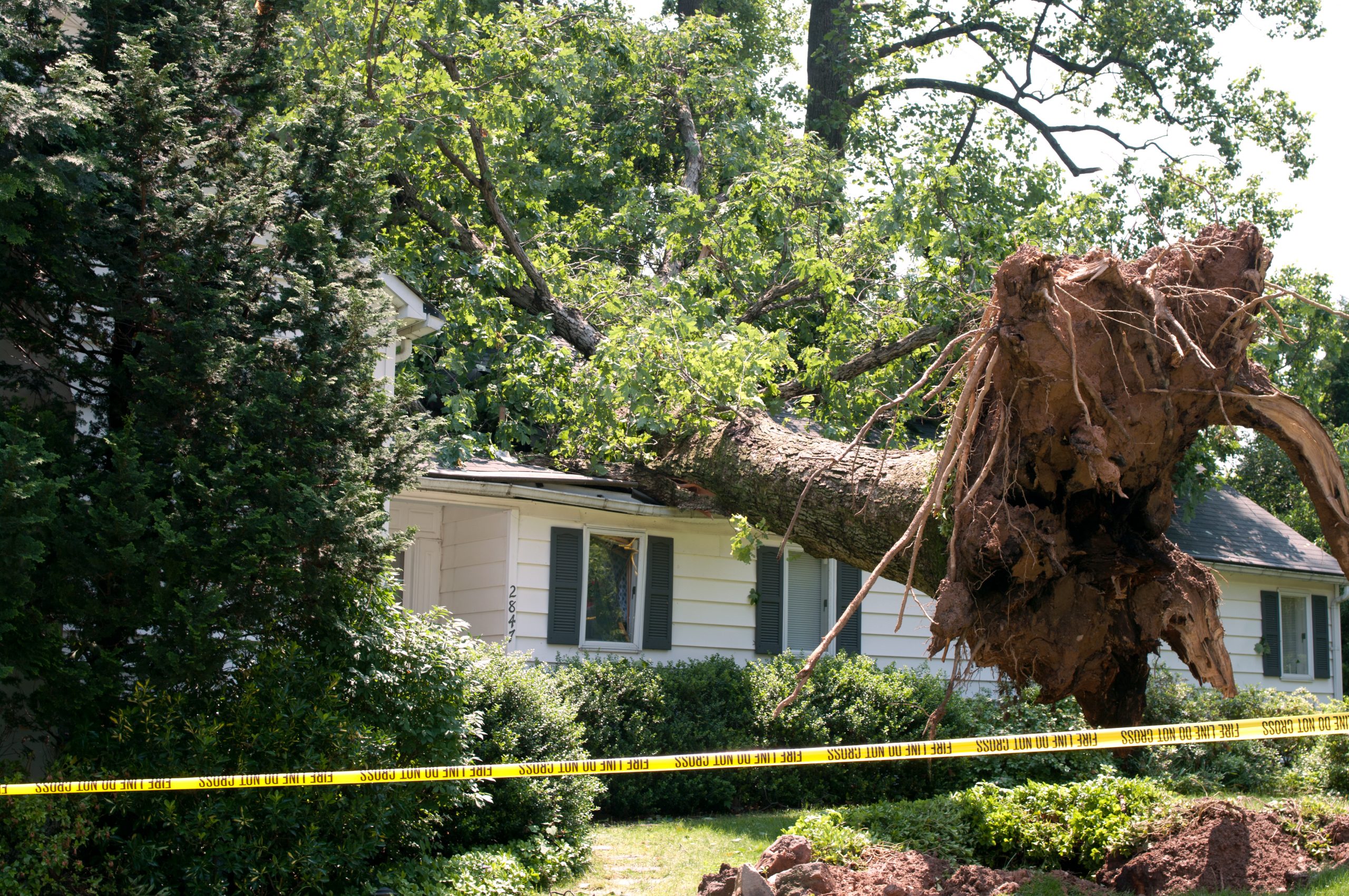 EMERGENCY Storm Damage Services in Winston-Salem NC